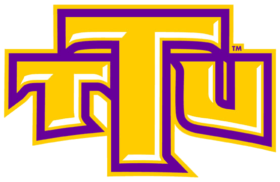 Tennessee Tech Golden Eagles 2006-Pres Alternate Logo t shirts iron on transfers v2